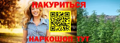 хмурый Гатчина