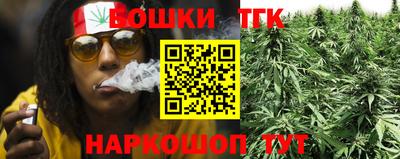 хмурый Гатчина